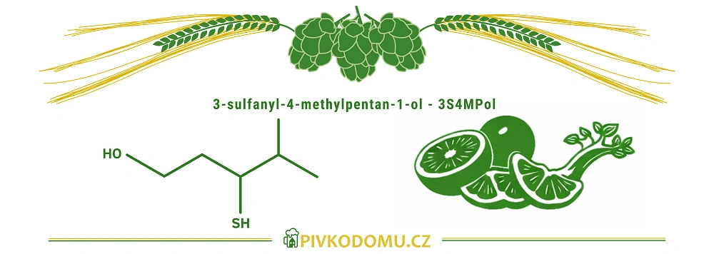 Schéma 3-sulfanyl-4-methylpentan-1-olu 3S4MPol s citrusovým aromatem