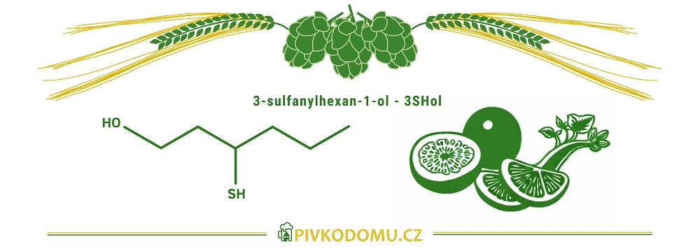 Schéma 3-sulfanylhexan-1-olu 3SHol s chmelem a citrusovými tóny