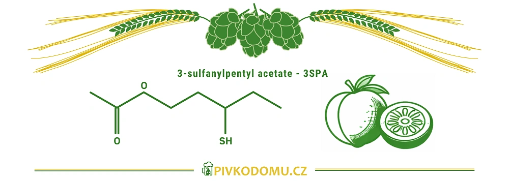 Schéma 3-sulfanylpentyl acetátu 3SPA s ovocně-citrusovým aromatem