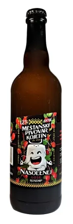 Pivovar Kojetín - Nasolenej Rosehip 12° 0,75l (Gose)