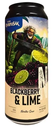 Pivovar Rampušák - Blackberry & Lime Nealko Sour 6° 0,5l (Nealko Fruited Sour)
